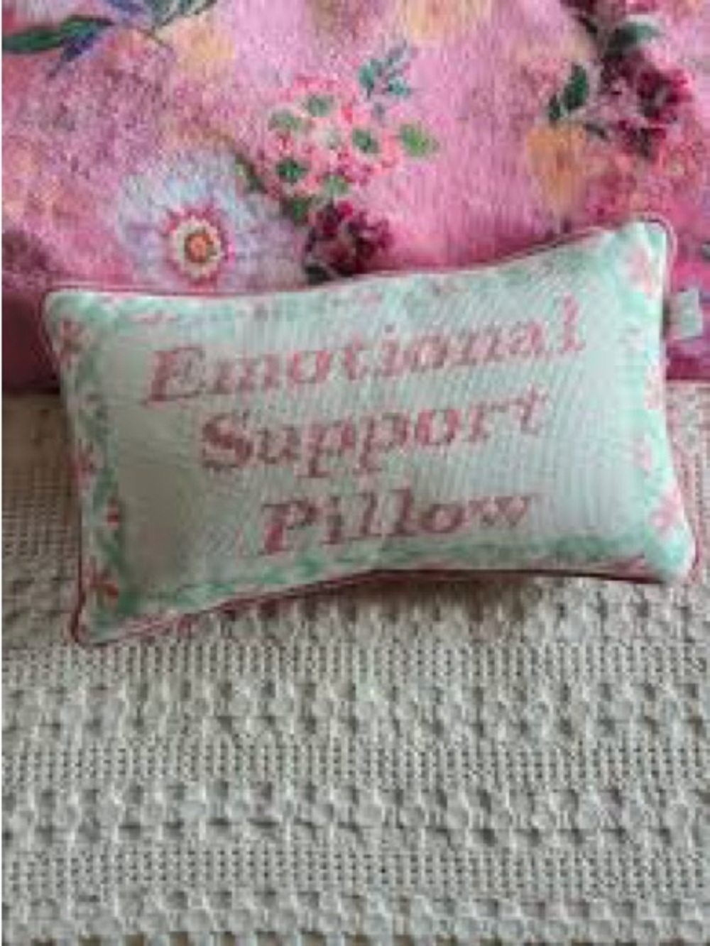 cupcakes & cashmere pink nedfkepoint and Cream 'Emotional Support Pillow' Accent
